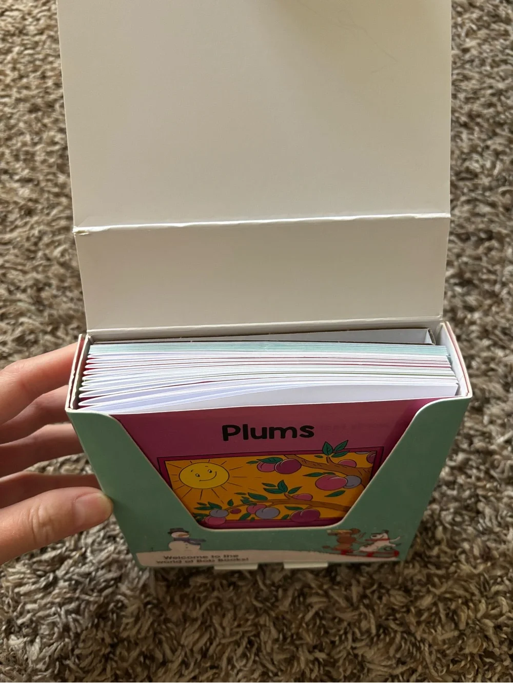 Scholastic Bob Books Sight Words First Grade- Stage 2 Emerging Reader